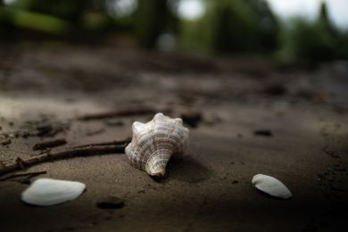 Gerhard Pflästerer: Das letzte Licht