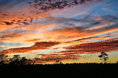 21 Wolken über dem Moor