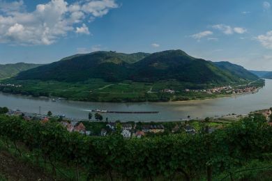 Bernhard Martus: Donau in der Wachau