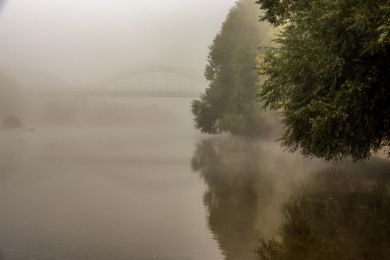 Morgennebel am Neckar