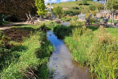 21 Isenbach renaturiert