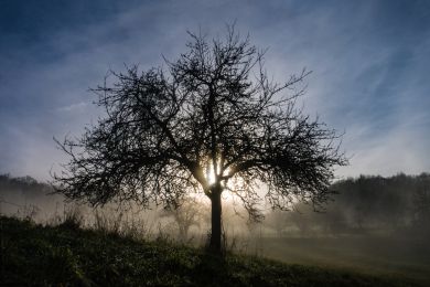 Dr. Helmut Raab: Späte Sonne