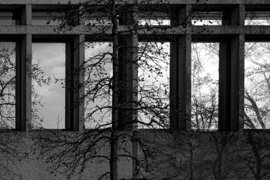 12 Wie viele Rahmen?