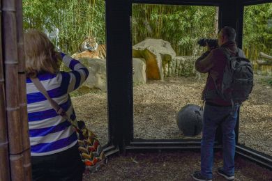 16 Fotosafari